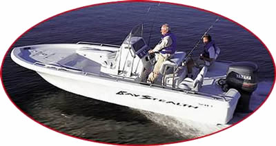 marine_graphic